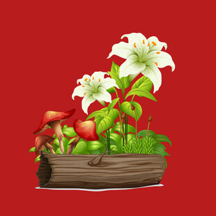 手绘百合花