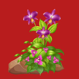 鸢尾花 