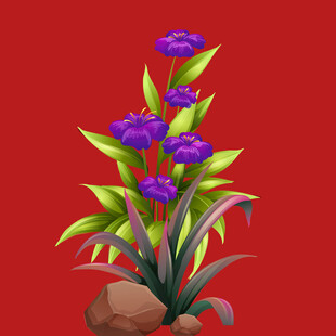 鸢尾花 