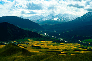 卓尔山