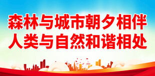 创建森林城市 