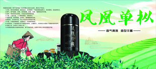 凤凰单枞  