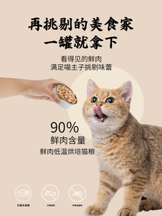 猫咪作品