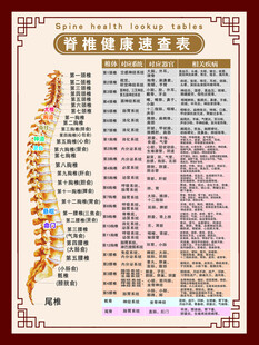 脊椎健康速查表