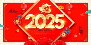 金蛇2025
