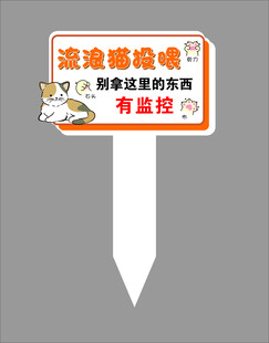 卡通猫