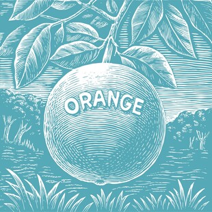 橙子