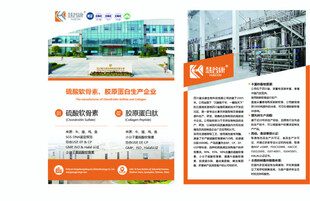 公司单页 宣传单  海报