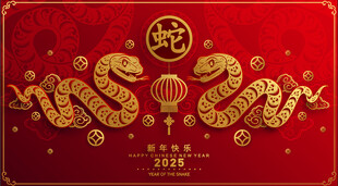 2025蛇年  