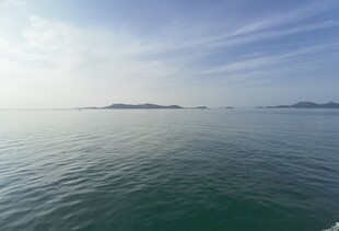 海
