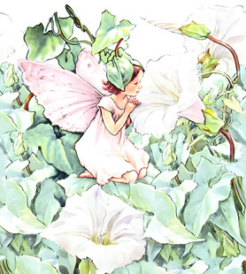  定位花 