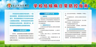 学校结核病日常防控指南展板