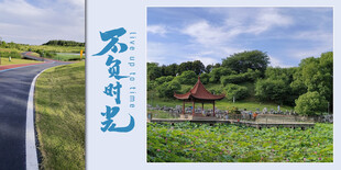 相册模板