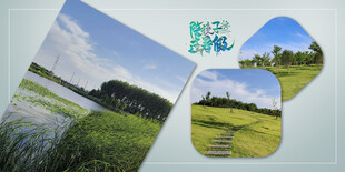 相册模板