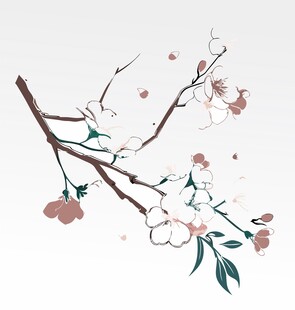 梅花插画