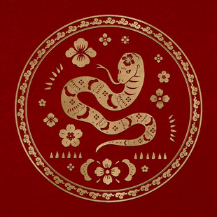 蛇年