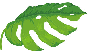 植物叶子