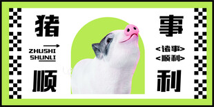卡通猪
