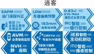 逍客亮点贴
