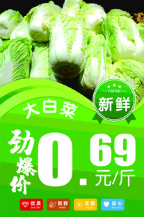 大白菜