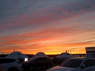 夕阳无限好
