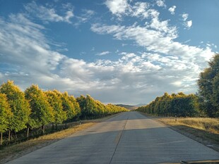 一路坦荡