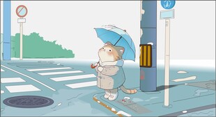 可爱小猫咪