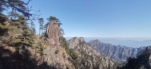 旅游  迎客松  黄山风景区 