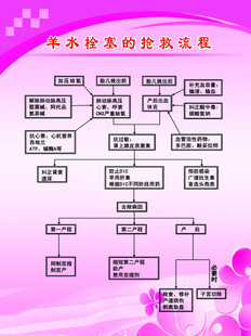 羊水栓塞抢救流程