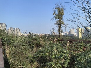 马鞍山公园