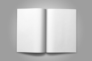 品牌企业宣传画册样机 