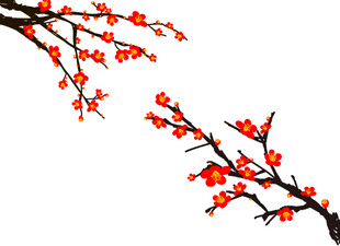 免扣梅花