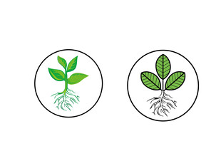 植物幼苗图标标志