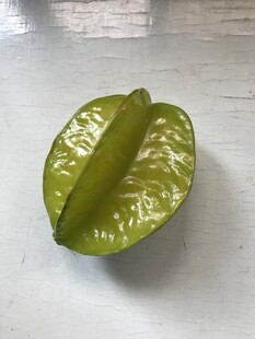 杨桃