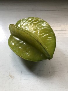 杨桃