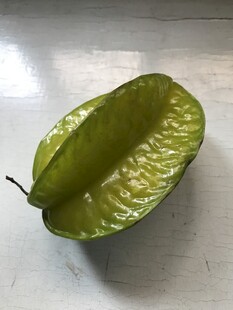 杨桃