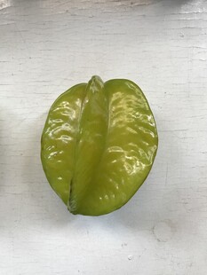 杨桃