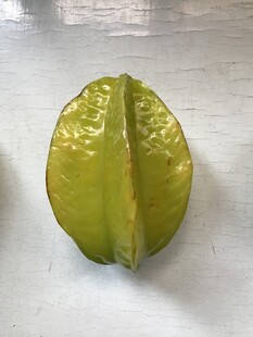 杨桃
