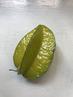 杨桃