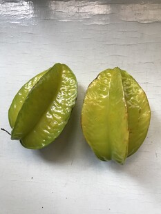 杨桃