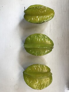 杨桃
