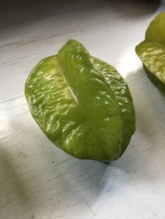 杨桃