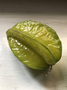 杨桃
