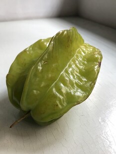 杨桃