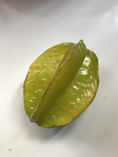 杨桃