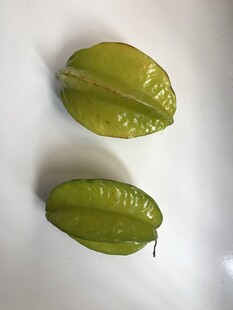 杨桃