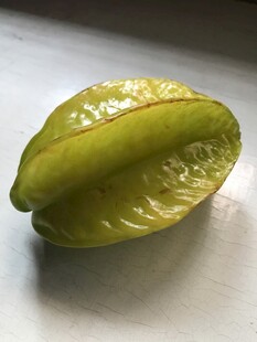 杨桃