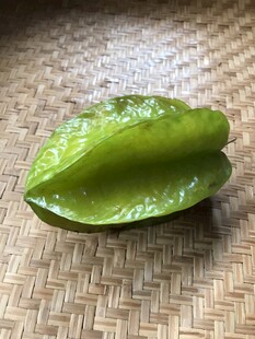 杨桃