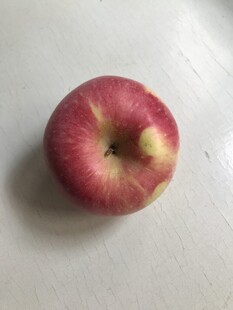 苹果 红富士