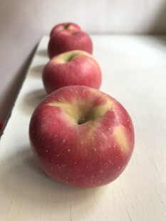 苹果 红富士